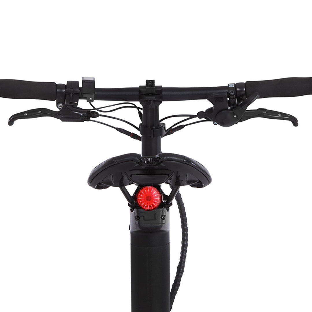 Carbo electric bike discount