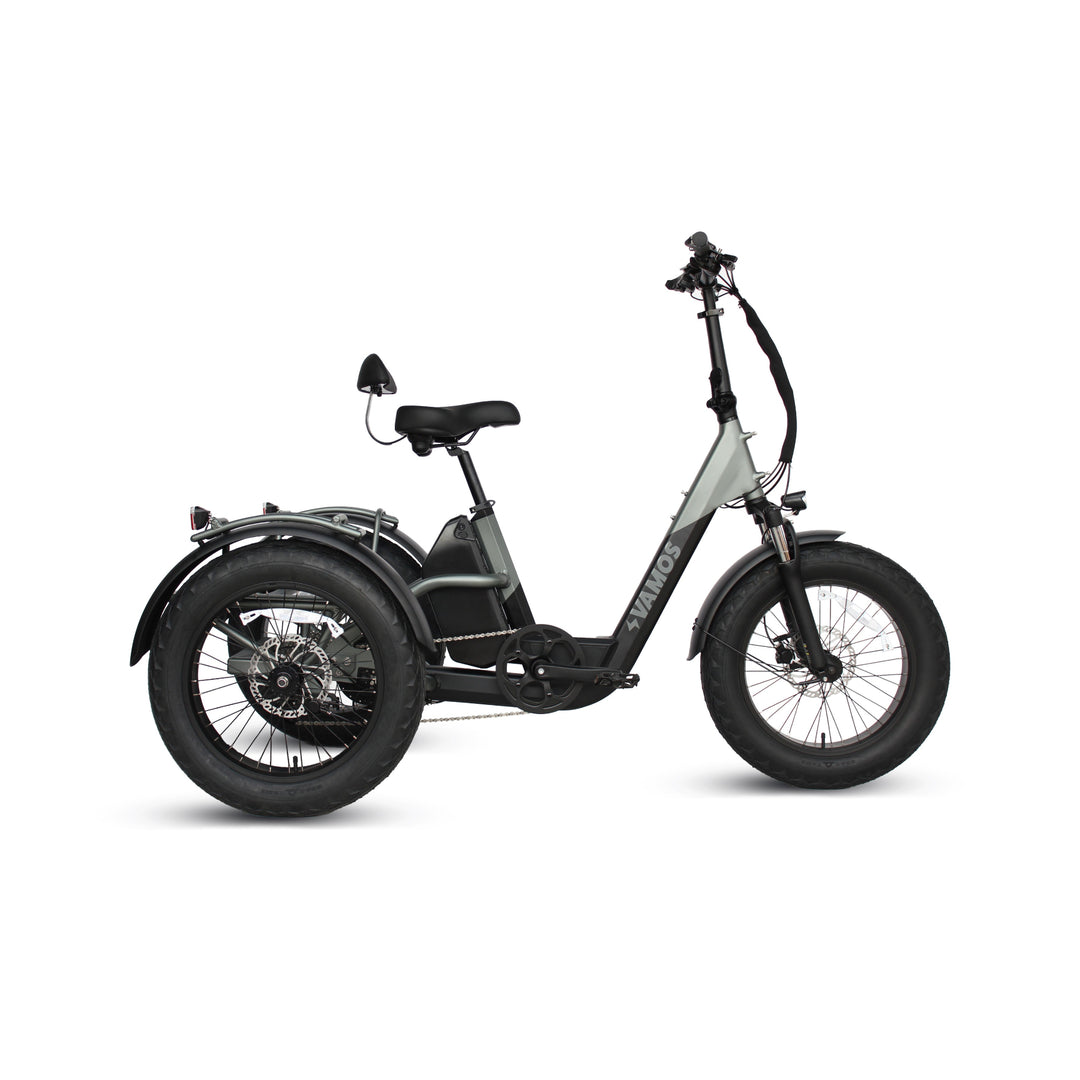 Swego electric tricycle hotsell