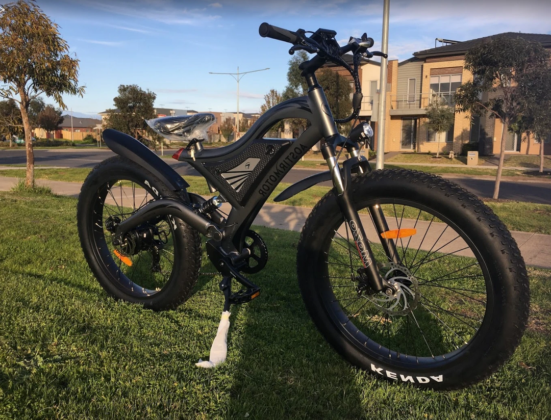 E-Ozzie Twisted XL Electric Mountain Bike – E-Ride Solutions