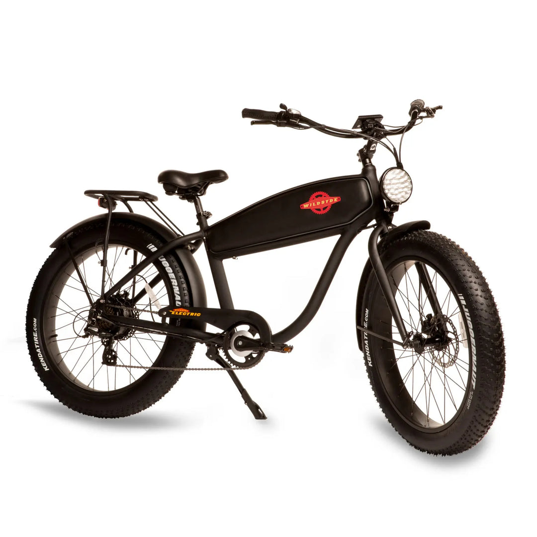 Vintage Electric Bikes E Ride Solutions